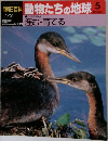 朝日百科 動物たちの地球 5