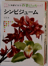 シンビジューム