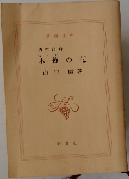 木槿の花