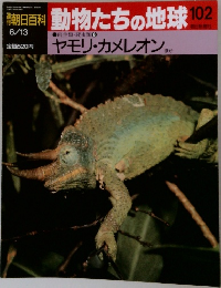 動物たちの地球102