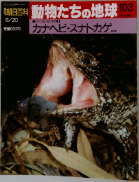 週刊朝日百科 動物たちの地球 103　6/20