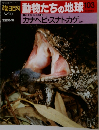 週刊朝日百科 動物たちの地球 103　6/20