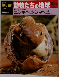 動物たちの地球 105　ニシキヘビ・シマヘビ