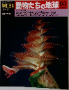 週刊朝日百科 動物たちの地球 63　9/6