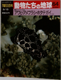 動物たちの地球 64