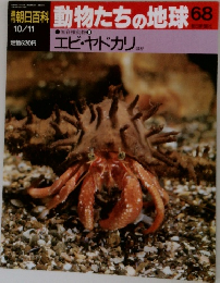週刊朝日百科 動物たちの地球 68　10/11　エビ・ヤドカリ ほか