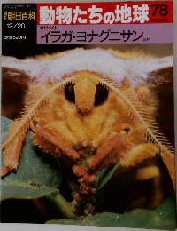 朝日百科動物たちの地球78　12/20　イラガ・ヨナグニサン