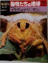 朝日百科動物たちの地球78　12/20　イラガ・ヨナグニサン