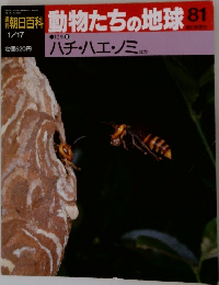 朝日百科動物たちの地球81　1/7　  ハチ・ハエ・ノミ