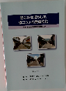 街なみを活かした  低コストの無電柱化