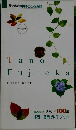 Tano　Fujioka
