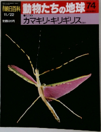 動物たちの地球 74　カマキリ・キリギリス