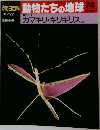 動物たちの地球 74　カマキリ・キリギリス