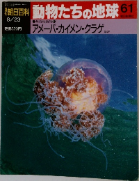週刊朝日百科　動物たちの地球61　8/23