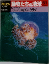 週刊朝日百科　動物たちの地球61　8/23