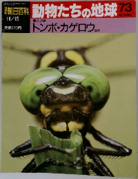 動物たちの地球 73　トンボ・カゲロウ ケ