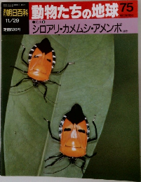 週刊朝日百科　動物たちの地球75　11/29　