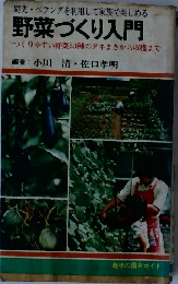 野菜づくり入門  つくりやすい野菜53種のタネまきから収穫まで