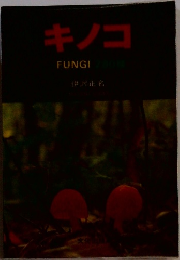 キノコ