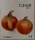たまねぎ　11　
