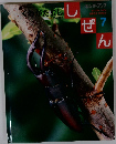 キンダーブック しぜん　7　