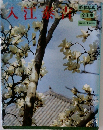 入江泰吉　昭和写真  全仕事