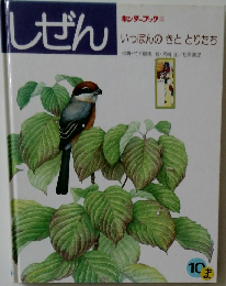 しぜん　いっぽんのととりたち　10月号