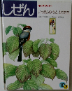 しぜん　いっぽんのととりたち　10月号