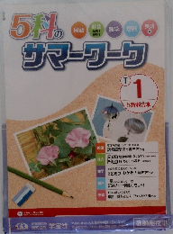 5科のサマーワーク　