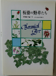 板橋の野草たち