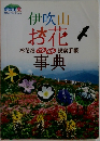 伊吹山お花事典