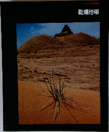 乾燥地帯
