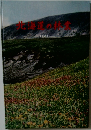 北海道の林業　1961