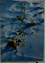 銀嶺の人　下
