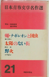 日本青春文学名作選