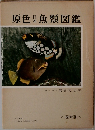 原色日本魚類図鑑