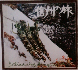 信州の旅　1975年冬号　No.11