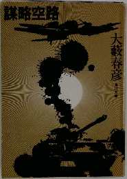 謀略空路