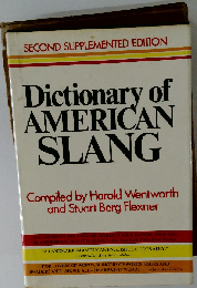 Dictionary of American Slang