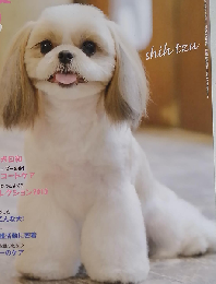 wan 2010年5月号