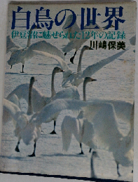 白鳥の世界ー伊豆沼に魅せられた12年の記録