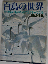 白鳥の世界ー伊豆沼に魅せられた12年の記録
