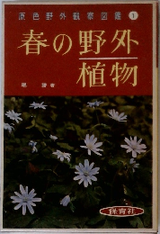 春の野外植物
