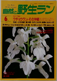 自然と野生ラン　1997　6