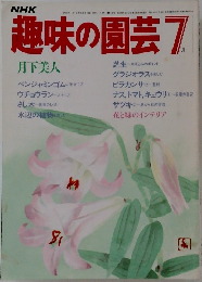 NHK趣味の園芸　1978年7月号