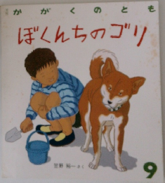 かがくのとぼくんちのゴリ