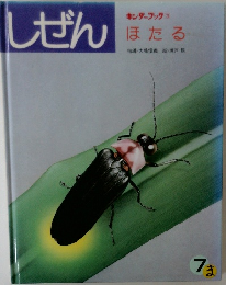 しぜん　キンダーブック3 　ほたる　7
