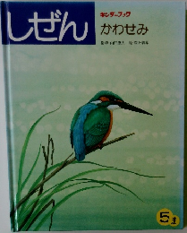 キンダーブック　しぜん　かわせみ