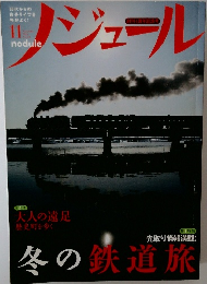 レジュール11　2010