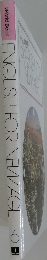 ENGLISHFORNEWAGE6